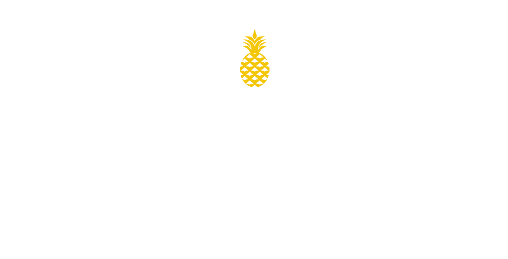 Image of Pacific Dynamics Logo