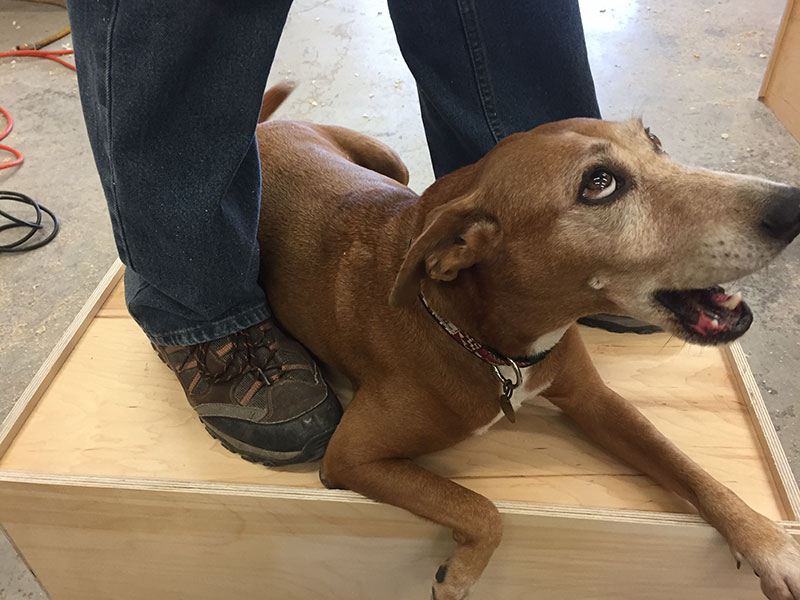 image of man and dog standing on the bottom of a drawer to show superior strength